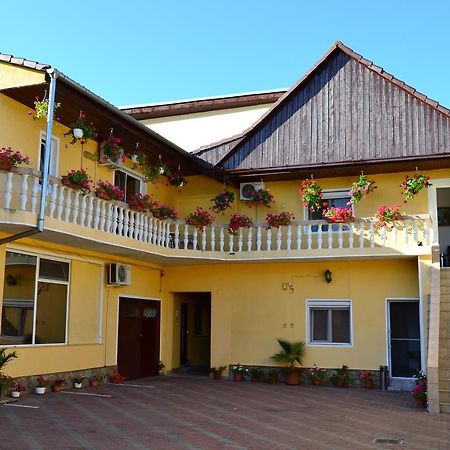 Pensiunea Alexander Arad Exterior foto