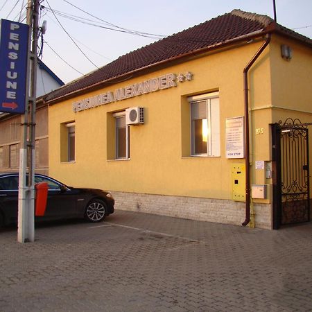 Pensiunea Alexander Arad Exterior foto