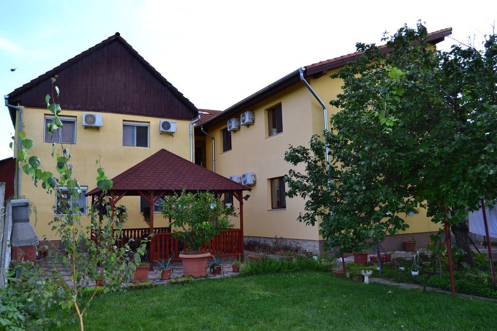 Pensiunea Alexander Arad Exterior foto